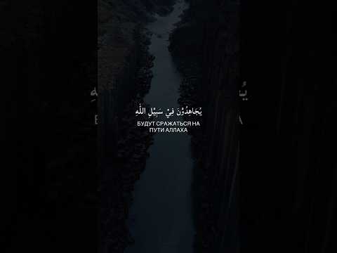 Прекрасное Чтение Корана📖 Саид Дуббаха🎙️ #ислам #коран #islam #quran