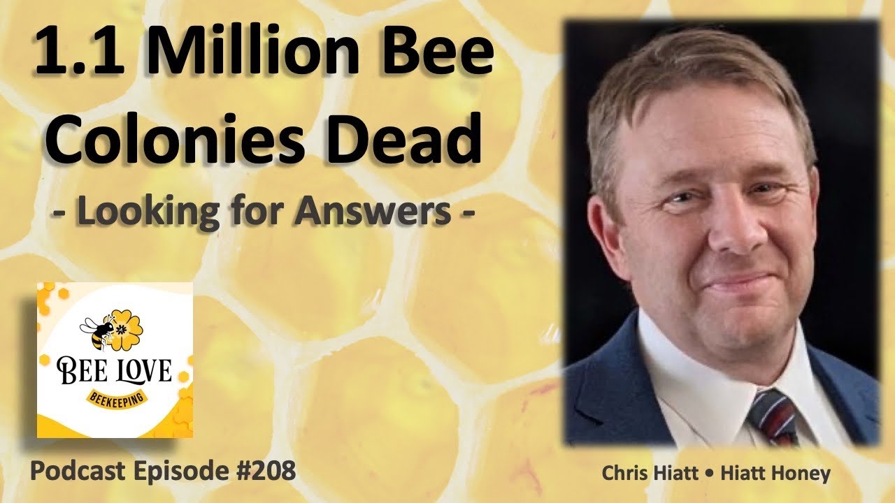 1.1 Million Honey Bee Colonies Dead, Worst in Decades