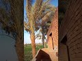 لبيك اللهم لبيك