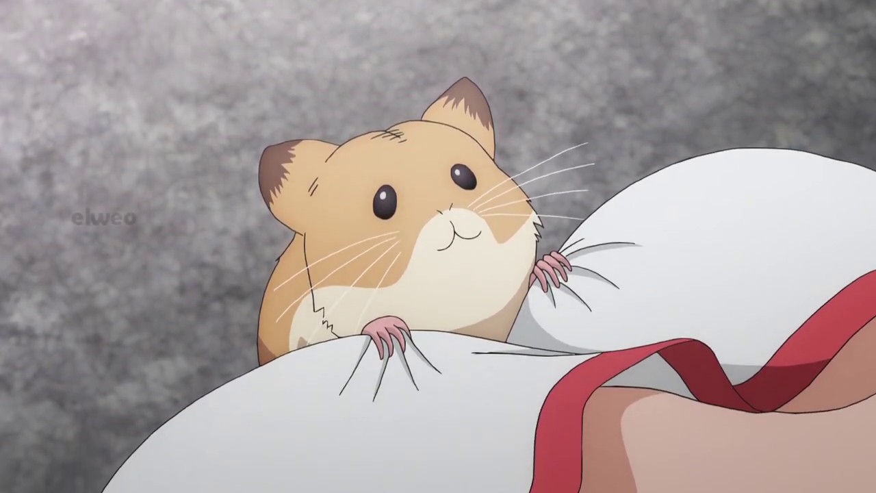 Download Cute hamsters atacc cute and thicc girls | Toaru no kagaku no railgun T