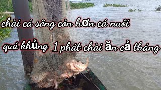 Hôm nay Khang Mã Địa xuất hiện.Lập kỷ lục chài cá năm nay cá quá khủng