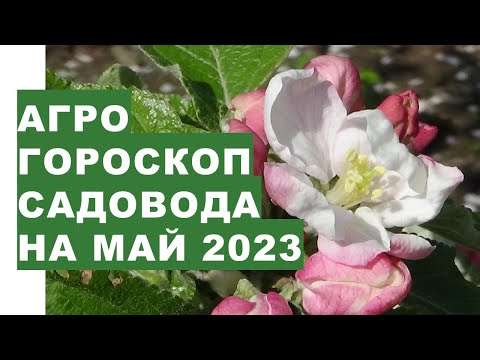 Видео: Смеете да бъдете различни: 20 незабравими акцента