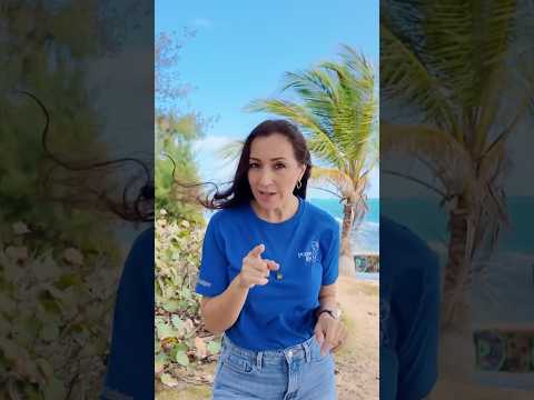 No te mudes para Puerto Rico… ➡️ Video completo aquí #puertorico