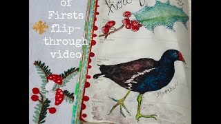 Nature journal flip-through video