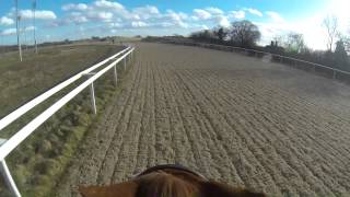 Great Leighs Racecourse Gallop Ponies - Gopro Hero 3