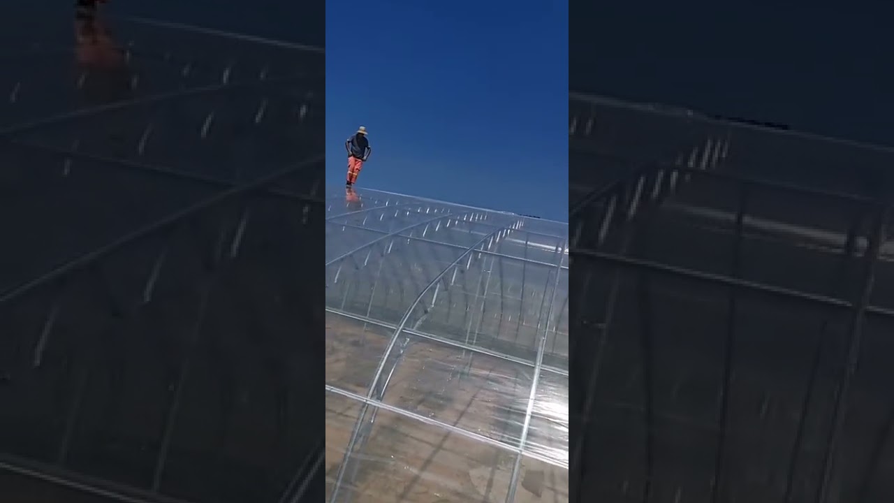 greenhouse poly film