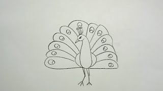 how to draw peacock drawing easy step for kids@Aarav Drawing Creative