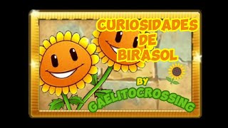 Curiosidades De Birasol Pvz - Gaelitocrossing