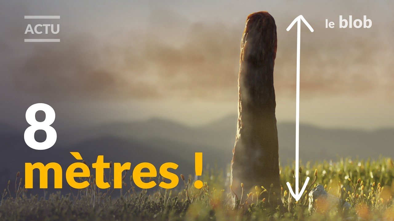 Et si ce géant préhistorique révélait une nouvelle branche du vivant ? Le mystère des prototaxites