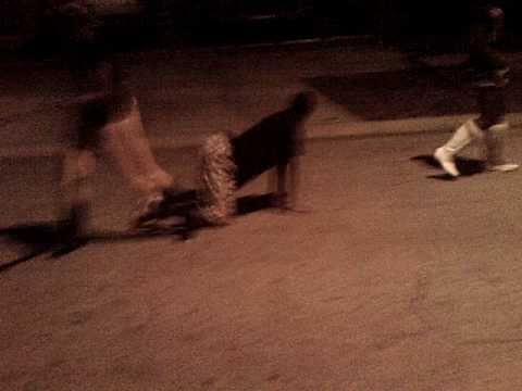 FACE DOWN ASS IN DA AIR BY CRUNKCOCO, 1RISHABADAZZ,2SEXY