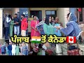    punjab  to canada 2022 emotional movements