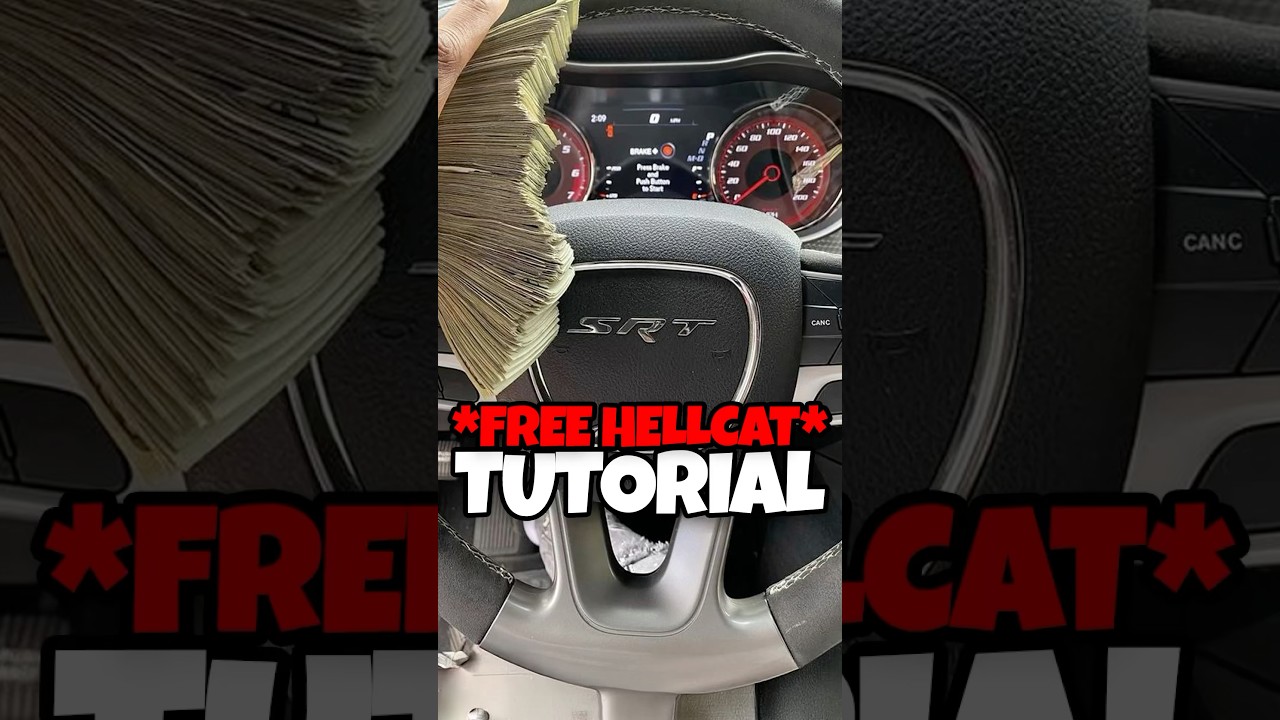 Как получить БЕСПЛАТНЫЙ адский кот 😱🚨