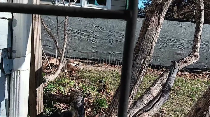 Happy Thanksgiving! 11/27/25