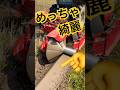 【畦塗り】雨後直ぐの畦塗り作業🚜