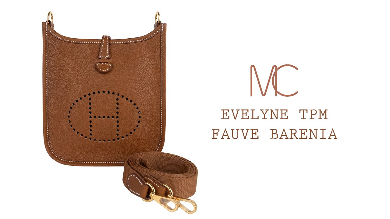 Evelyne 16 'TPM': Likely the most popular non-quota bag as of now