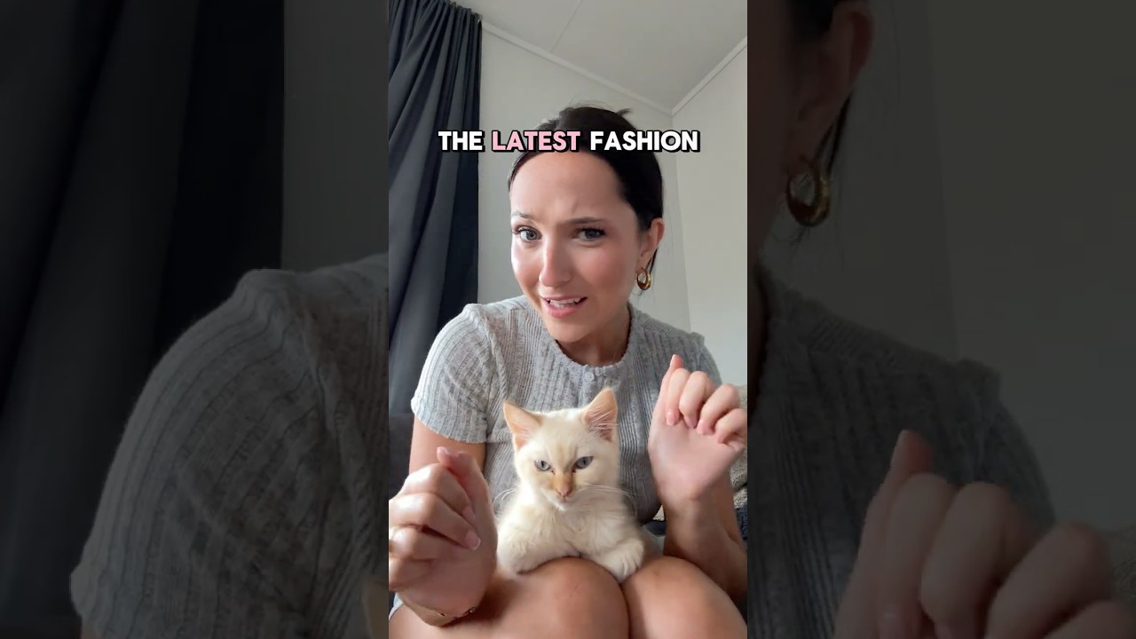 Getting paid to shop? Yes, please!