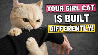 5 Shocking Differences Between FEMALE & MALE Cats That Vets Rarely Tell You
