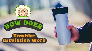 How Does Tumbler Insulation Work? Keeping Drinks Hot or Cold Longer Wealth