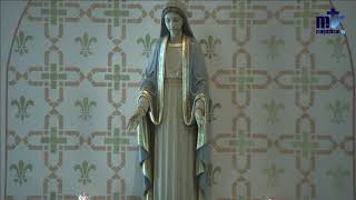 Sixteenth Sunday in Ordinary Time