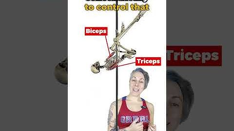 How to pole invert like a boss! Which muscles are we using?