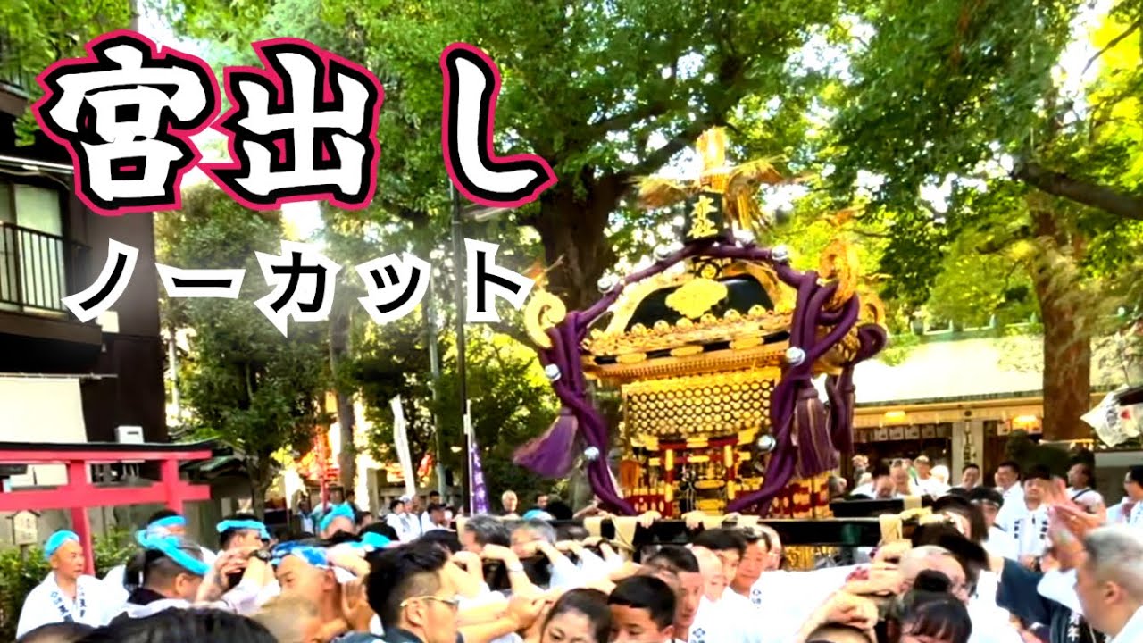 2024 駒込天祖神社 本社神輿 宮出し ノーカット