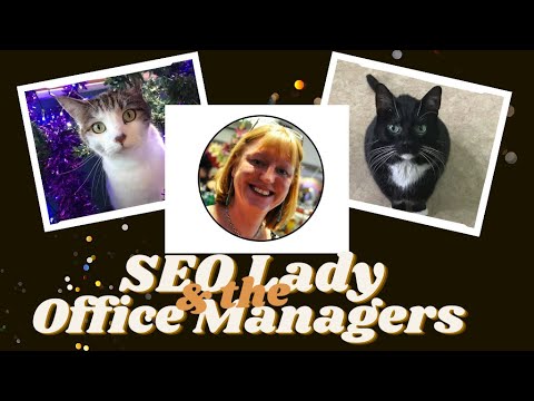 SEO Freelancer UK Zoom Consultations £70 ♦ eCommerce and Small Business