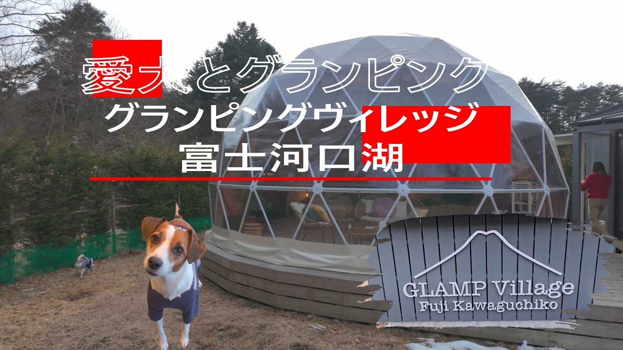 【わんこと旅行】グランピングヴィレッジ富士河口湖　冬の富士河口湖のドームテントに宿泊