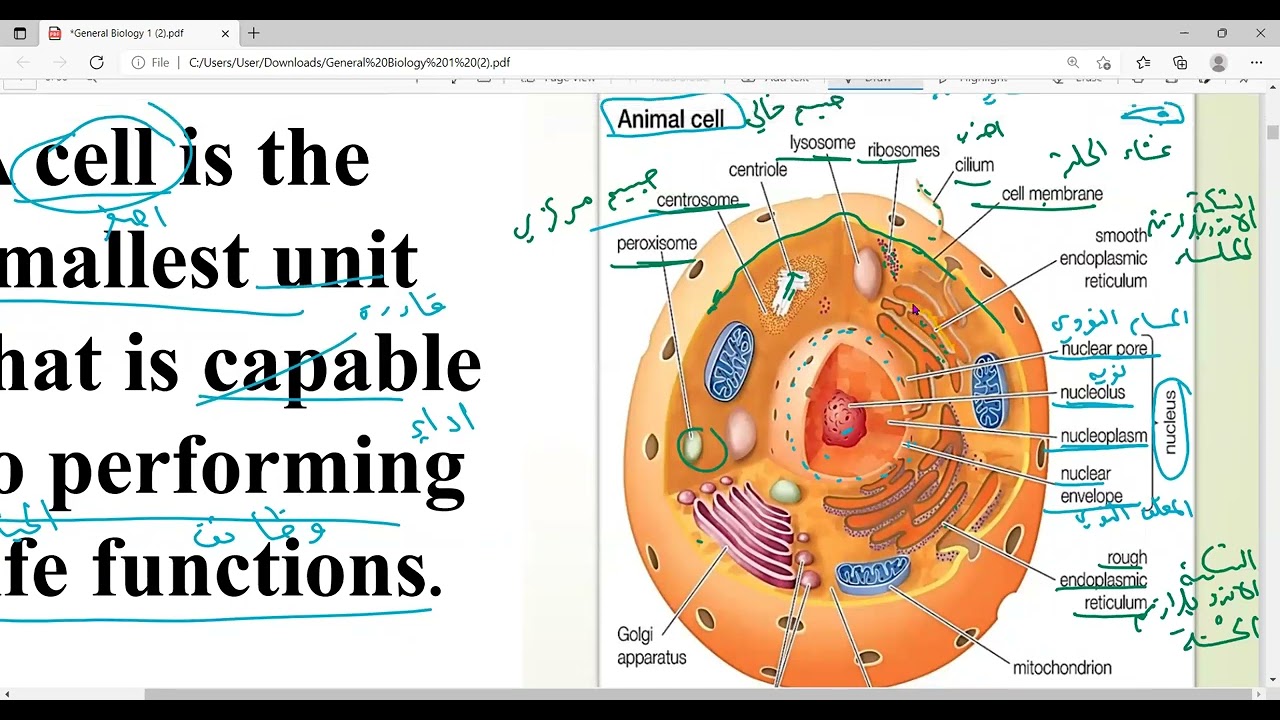 احياء عامة 101/جامعة ام القرى/شابتر 1