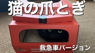 【猫用品】爪とぎができるダンボールハウスを組み立ててみた