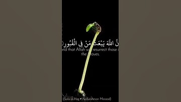 ذلك بأن الله هو الحق وانه يحيى الموتى .....)صوت القارئ عبدالرحمن مسعد 🤍