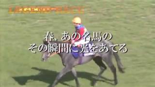 【オグリキャップ】伝説の芦毛馬・単勝1.2倍 7馬身差圧勝/88年NZT4歳S