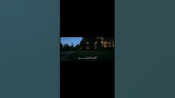 تلاوة هادئة تريح القلب😴🤍 #القرآن_الكريم #المصحف #تلاوات  #اكسبلور #تلاوة_خاشعة