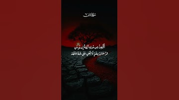 #تلاوة #القارئ #الشيخ #سعد_الغامدي #سورة_يس #quran #قرآن #القرآن_الكريم #القرآن #قران_كريم #تلاوات