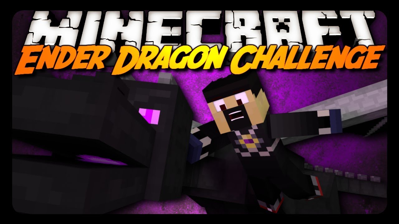 Minecraft: ENDER DRAGON w/ HEALING TOWERS! (Survival Challenge)