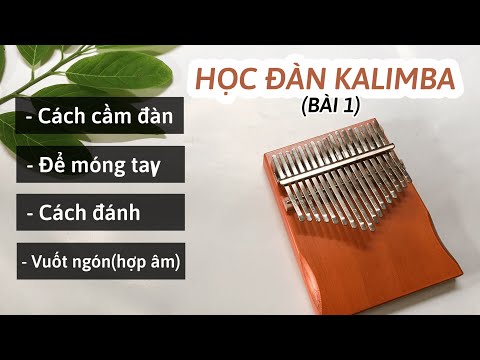 Video: 6 cách để giảm lo lắng khi nói trước đám đông