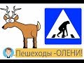 Пешеходы - Олени! Тупые пешеходы на велосипедных дорожках!