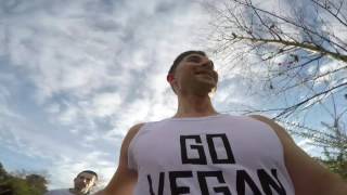 Hellrunner 'Hell Down South 2017' All in aid of Hugletts Animal Sanctuary