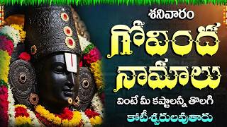 శ్రీ శ్రీనివాస గోవింద శ్రీ వెంకటేశా గోవింద | Govinda Namalu With Lyrics | Sri Venkateswara Songs