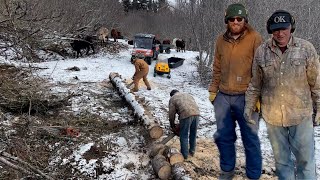 Buck it Up, Stack it Up, Burn it Up || Fallen Snag Pt.2 || Otto Kilcher