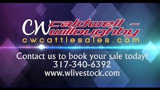 Why Willoughby Sales?