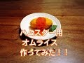 ハムスター用オムライス作ってみた♪ Omelette Rice For Hamster!!
