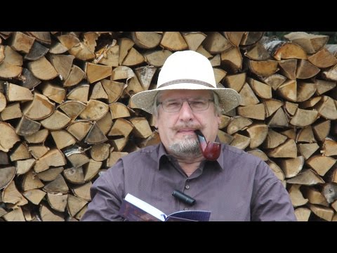 С.В. Савельев о вышедшей книге "Церебральный сортинг"
