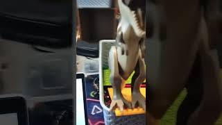 Lego animals