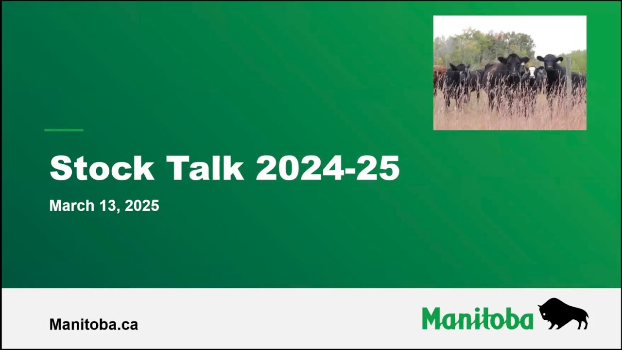 StockTalk - Mar. 13, 2025