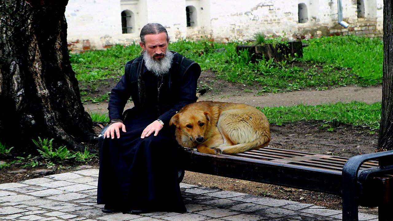 Пёс каждый день приходил в церковь и тихонько плакал. Когда священник узнал причину, он ужаснулся!
