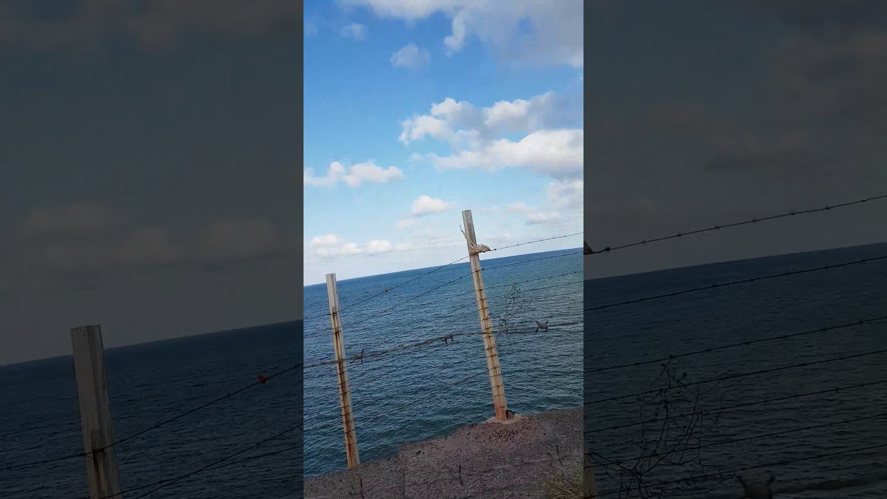 Farol - YouTube