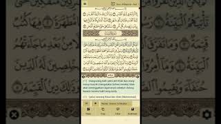 surat al bayyinah syaikh ibrahim al akhdar