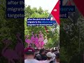 Albania protests escalate | DW News