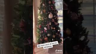 My mom went all out for Christmas (tiktok)