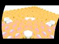 Samsung Logo Balls In G Major 89 